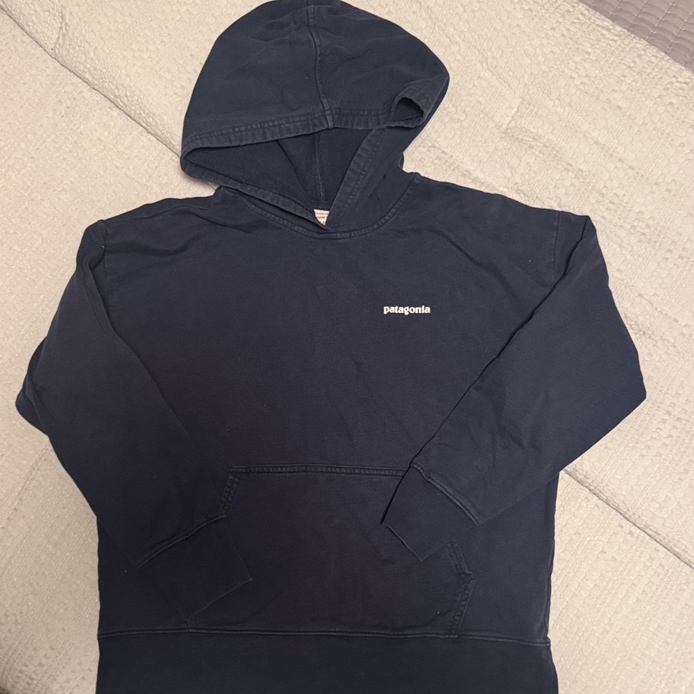 Patagonia Dark Navy Pullover Hoodie with Small Chest Logo